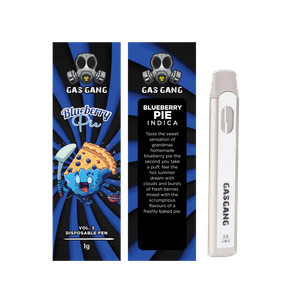 GAS GANG DISPOSABLE (2G) - BLUEBERRY PIE