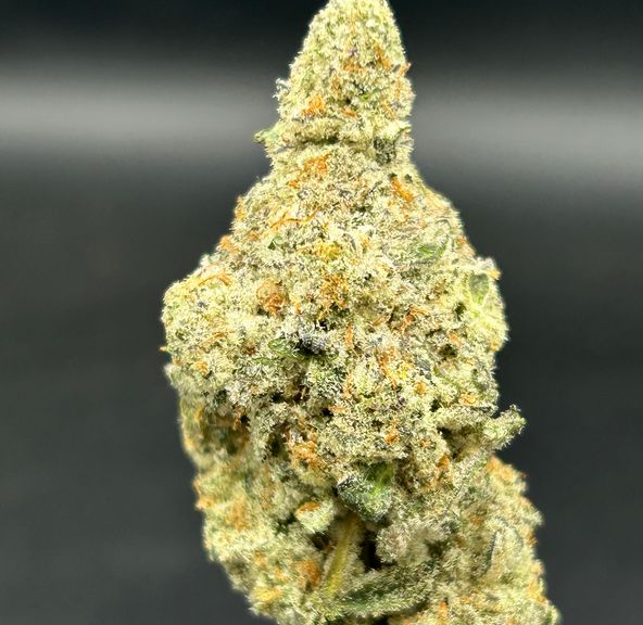 Cap Junky - Tier 2 - Cultivated by Miller Farms