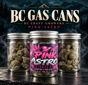 [AAAA+] BC GAS CAN - Pink Astro⛽️ - 14G