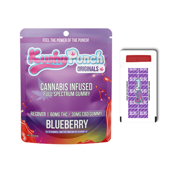 Kushy Punch | Gummies | 1pk | Recover CBD/THC | Blueberry