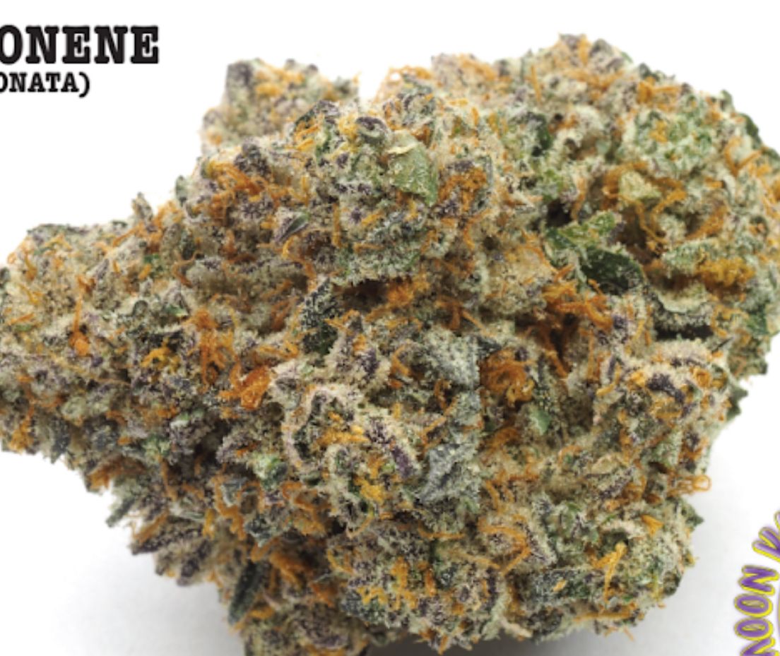 Moon Valley Cannabis - Blue Limonene Indoor Living Soil Flower 3.5g