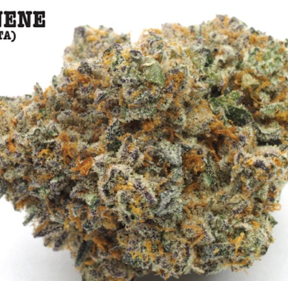 Moon Valley Cannabis - Blue Limonene Indoor Living Soil Flower 3.5g