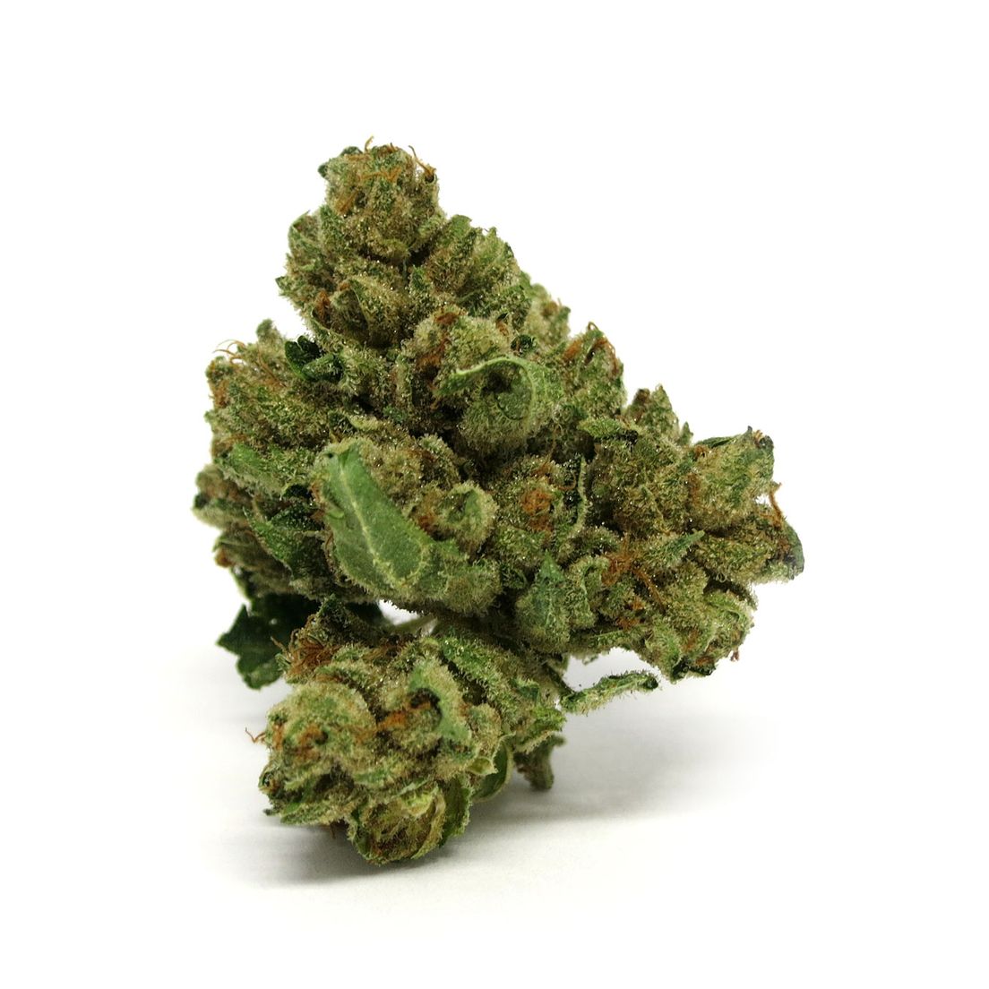 3C FARMS - 3.5G OPINOT 2-1