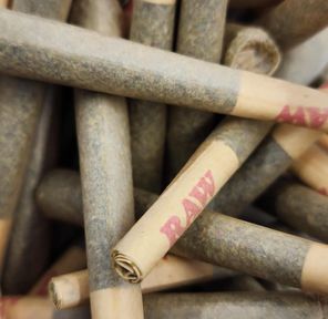 **Pre Roll Maison - Regulier (Sativa)