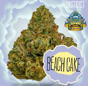 Flower- Beach Cake Bulk