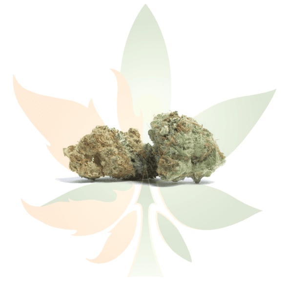 Hollywood AAAA Ounce