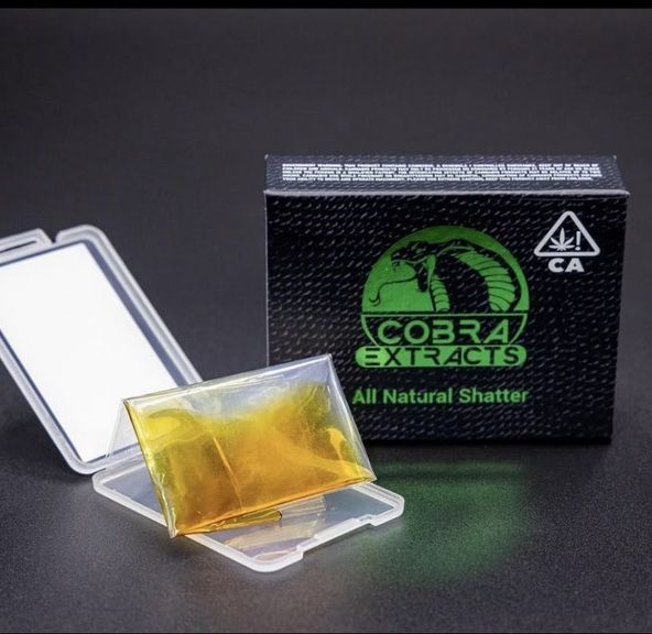 | Cobra Extracts - Tropical Haze 1G Shatter *