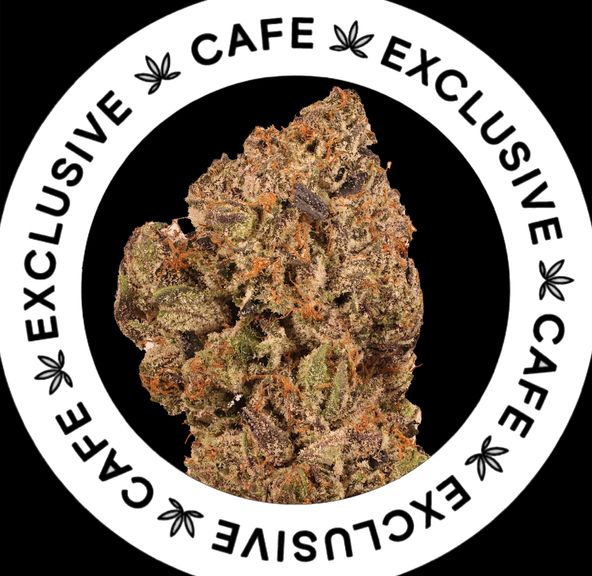 7G CAFE EXCLUSIVES- PINK BURGER