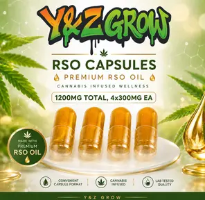 Y&Z RSO Capsules - 1200MG (300mgx4)