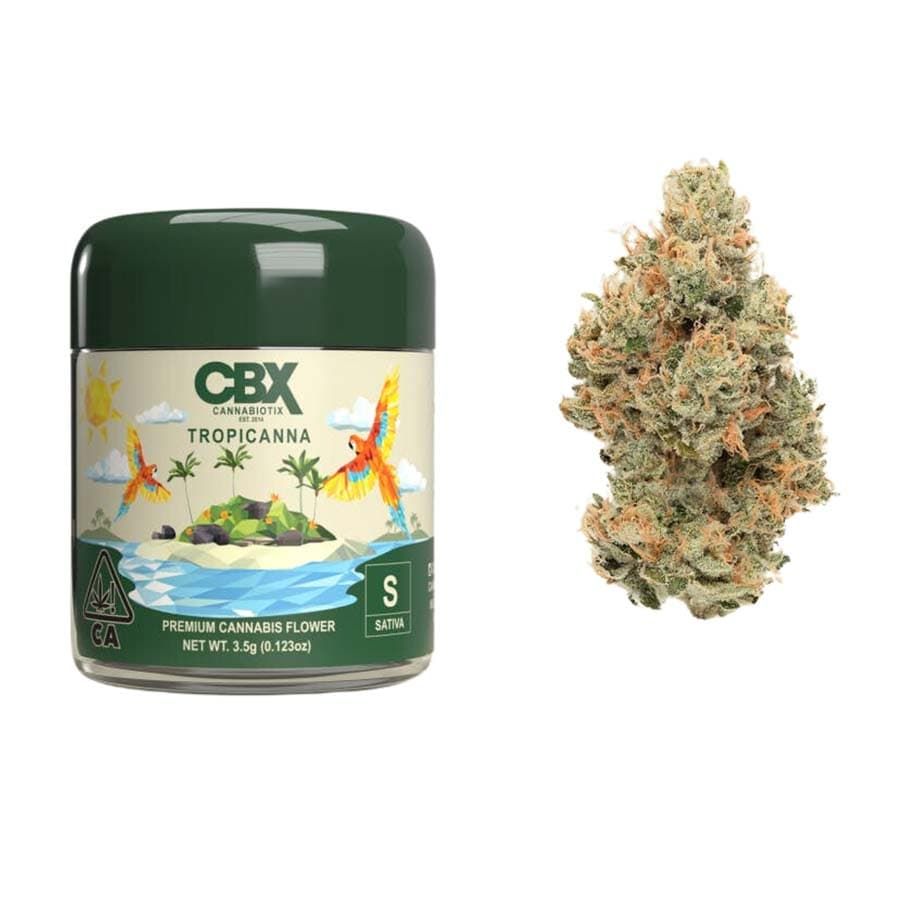 Cannabiotix Tropicana 3.5g 28.75%