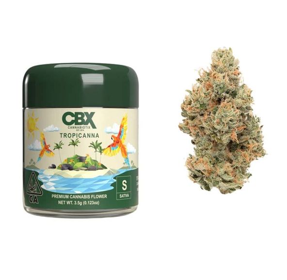 Cannabiotix Tropicana 3.5g 28.75%