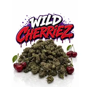 WILD CHERRIEZ - 14G | INDOOR SMALLS