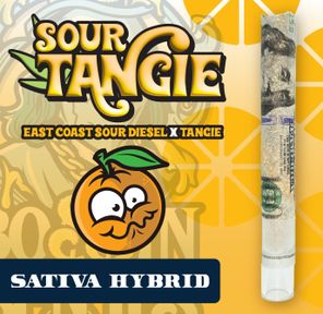 RR|Bossin Benji|Sour Tangie