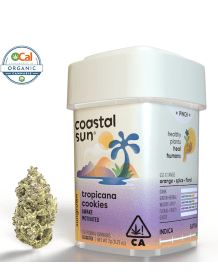 Coastal Sun - Tropicana Cookies 3.5g