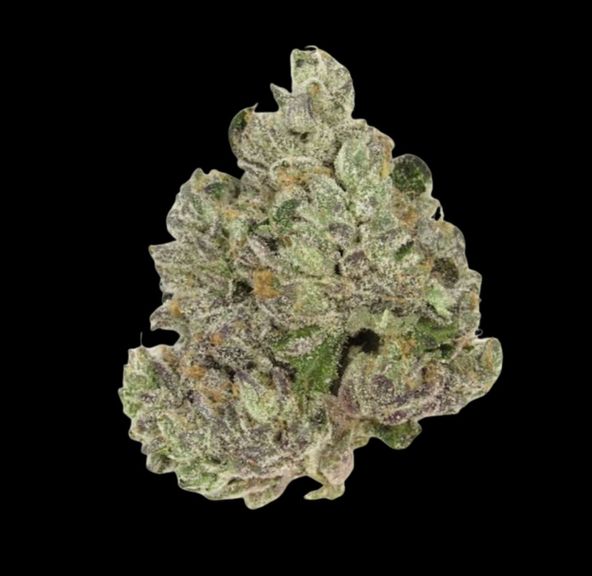 HUMBOLDT GROWERS NETWORK - GOTTI BELTS 14G SATIVA