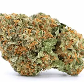 Blueberry Sherb