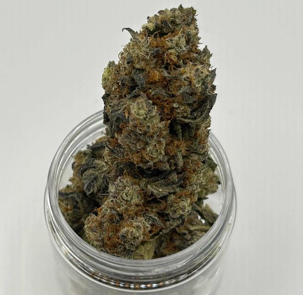 Gorilla Breath