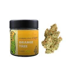 [Green Line] Flower - 3.5G - Orange Tree (S)