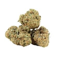 Tangie N Cream AAA