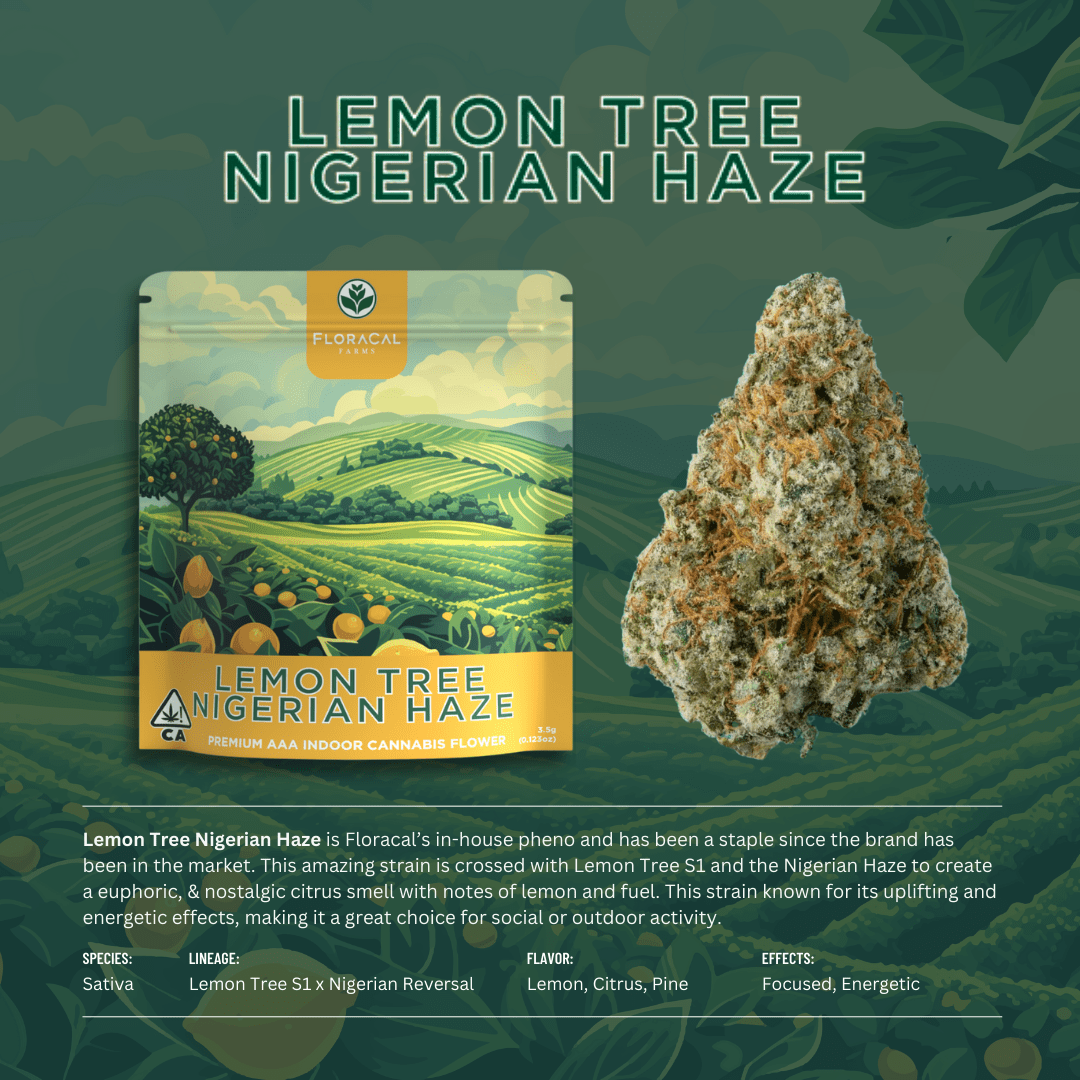 FloraCal - Lemon Tree Nigerian Haze