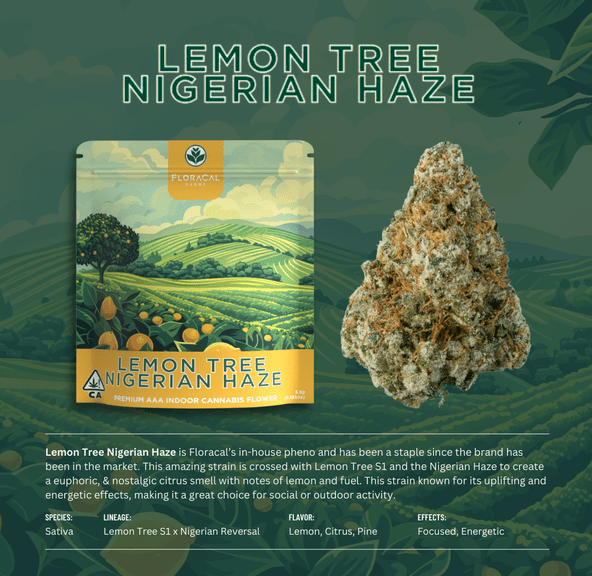FloraCal - Lemon Tree Nigerian Haze