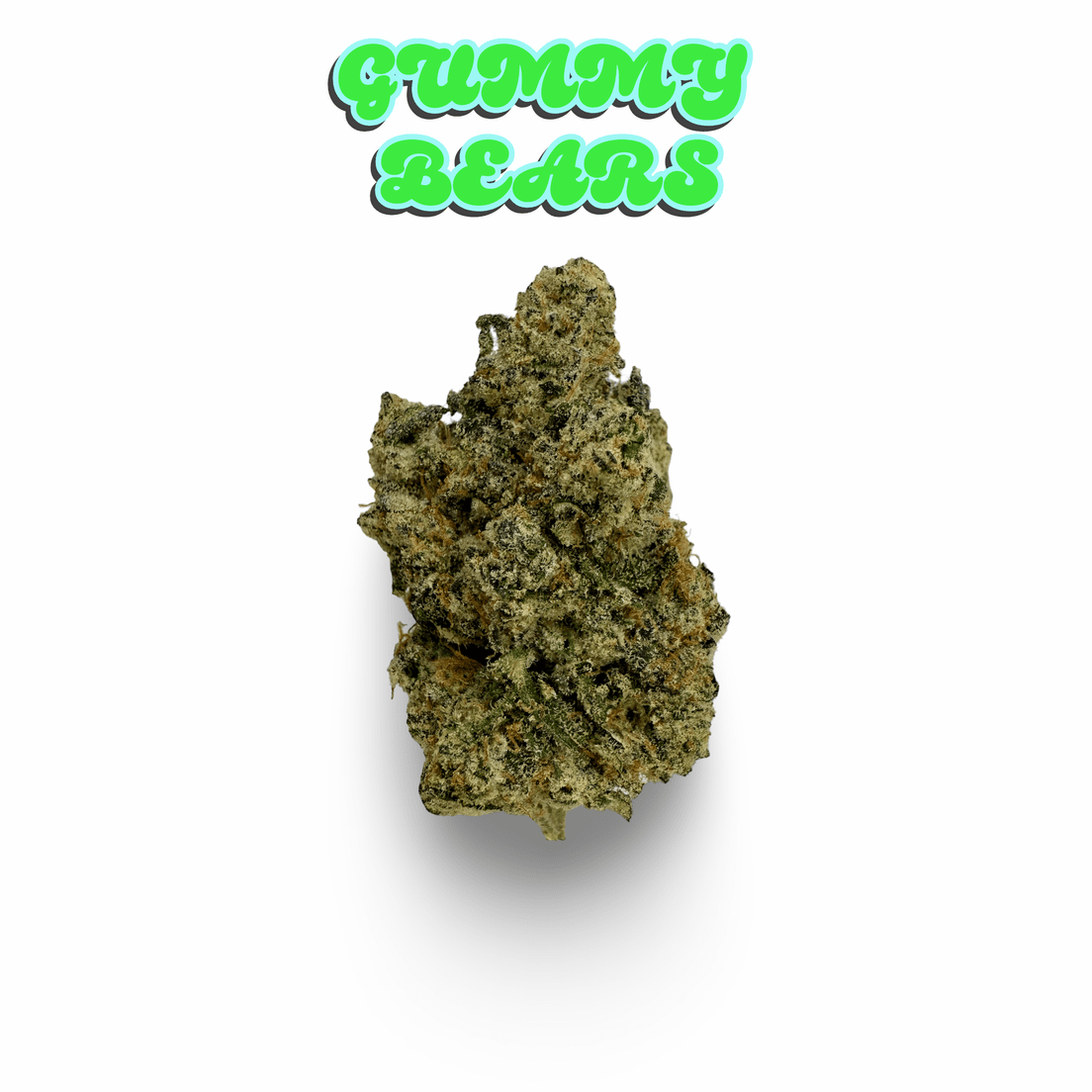 KINGS - GUMMY BEARS - 3.5G | TOPSHELF INDOOR FLOWER