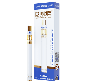 DIME 600mg Disposable - Blueberry Lemon Haze