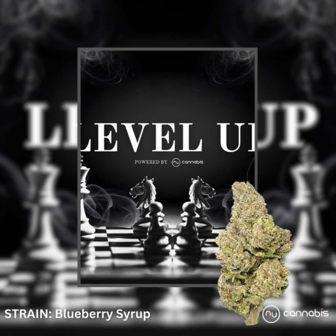 Level Up - Blueberry Syrup - 14G - PREMIUM FLOWER