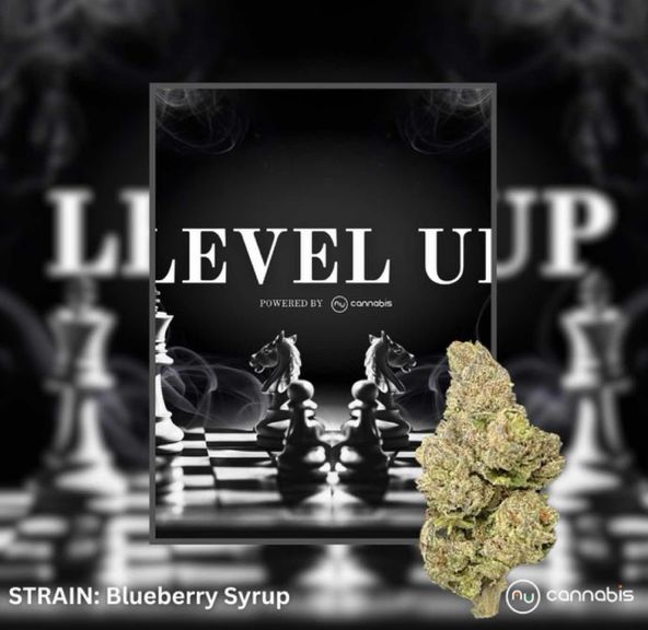 Level Up - Blueberry Syrup - 14G - PREMIUM FLOWER