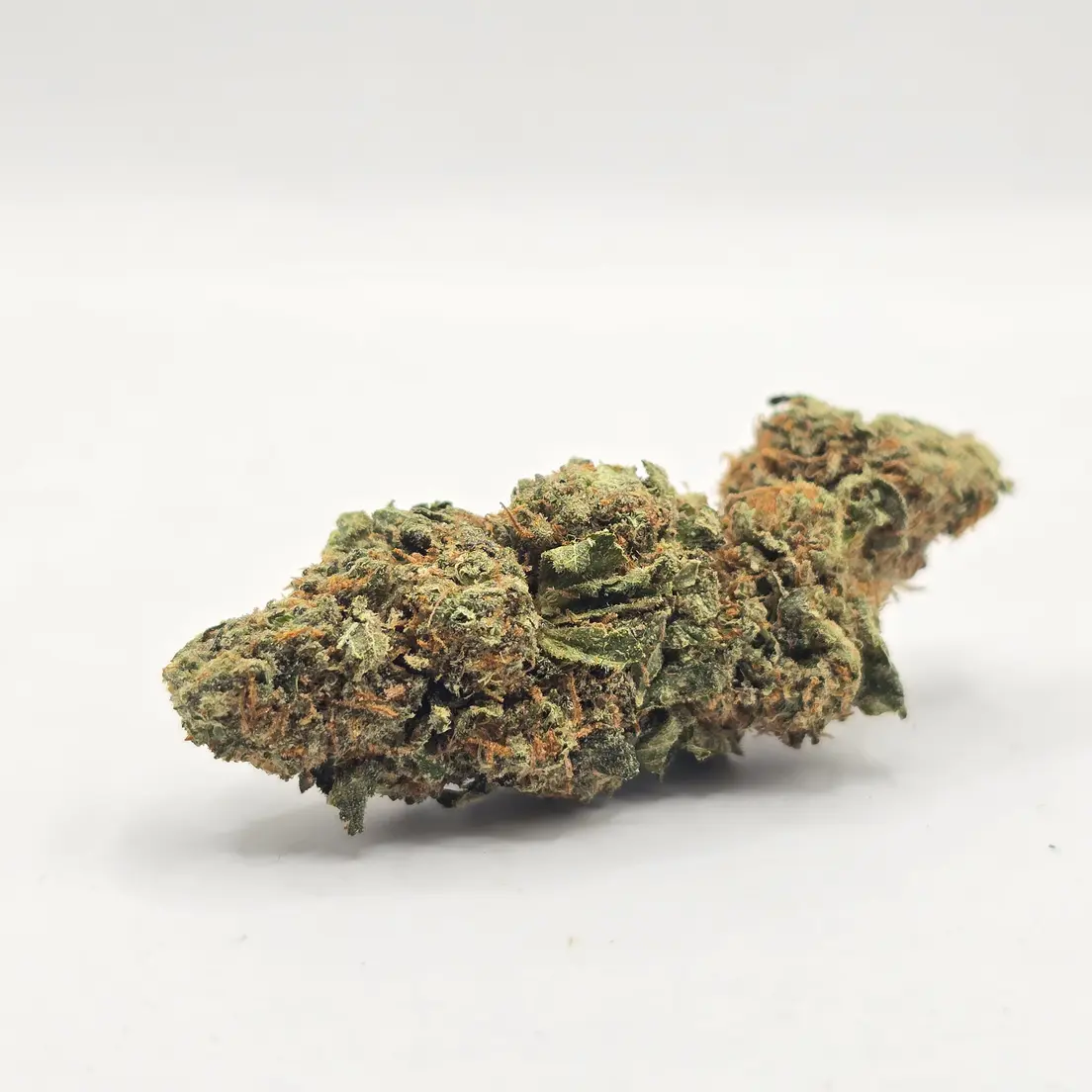 Greenhouse - Rozay - 23% - H