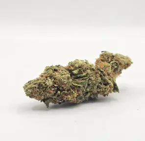 Greenhouse - Rozay - 23% - H