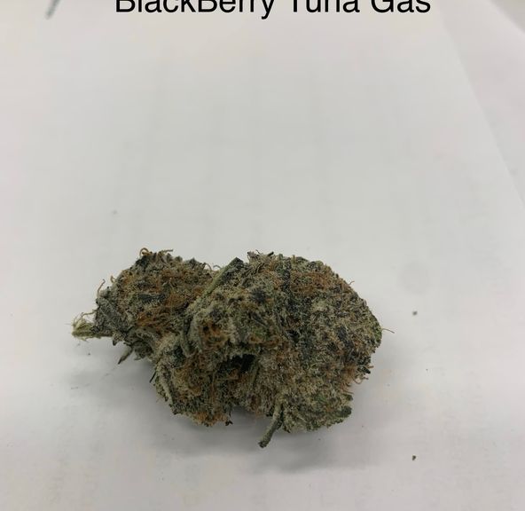 Blackberry Tuna Gas