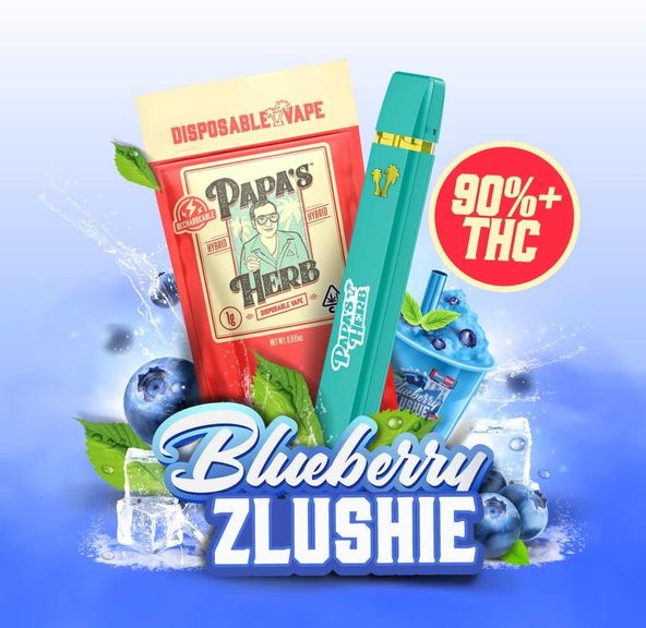 1g Blueberry Zlushie All In One Vape- PAPA'S HERB