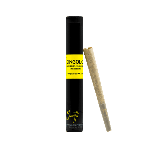 Biscotti Singolo Orange Cookies x Haze Berry 1g Infused Pre Roll 32.4%