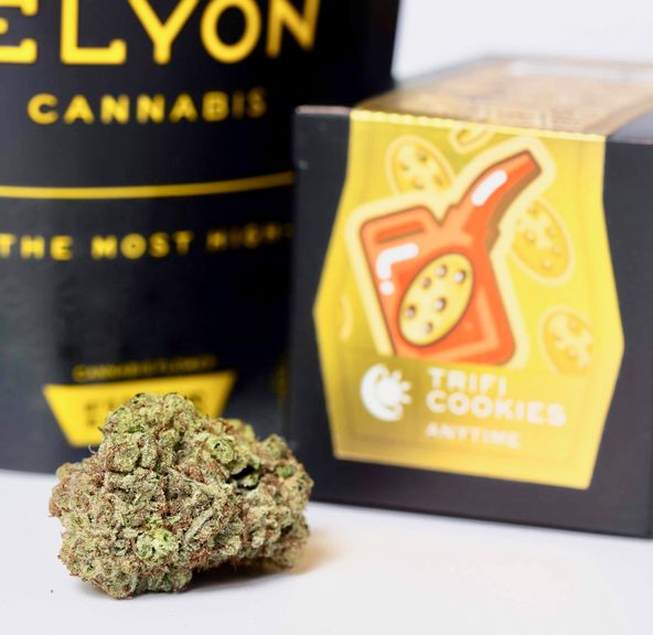 Elyon: Tri-Fi Cookies (3.5G)