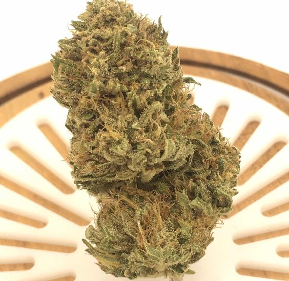 Cheese (greenhouse)