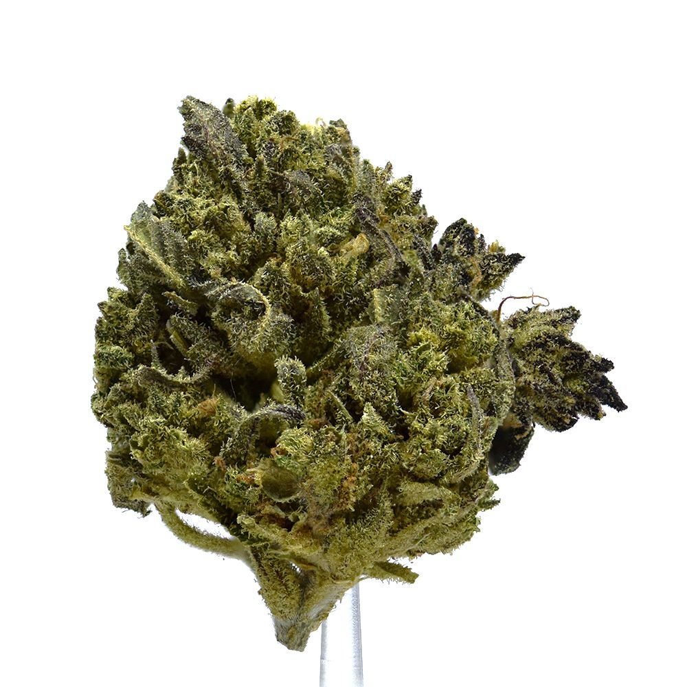 God's Dosi Pie | $80/oz | SALE!