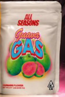 ALL SEASONS 3.5G- GUAVA GAS