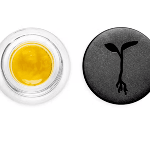 RAW GARDEN LR SAUCE- CARBON FIBER