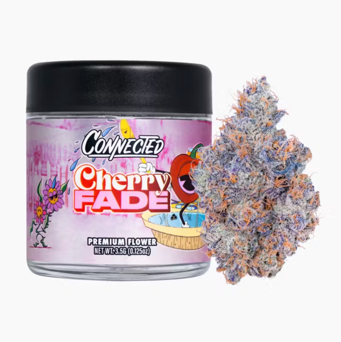 Cherry Fade - Indoor