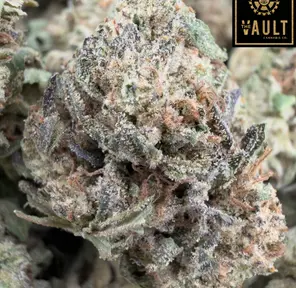 14g - BEAST MODE (AAA+)