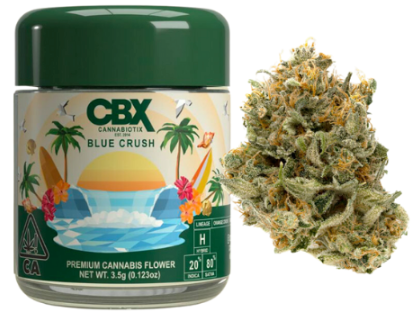 CBX 3.5G- BLUE CRUSH