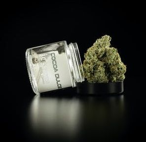 3C FARMS - 3.5G COCOA DULCE