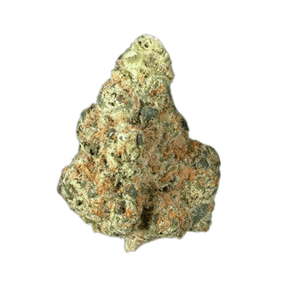 Alien Dawg (Premium)