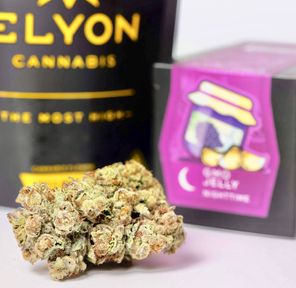 Elyon: GMO Jelly (3.5G)