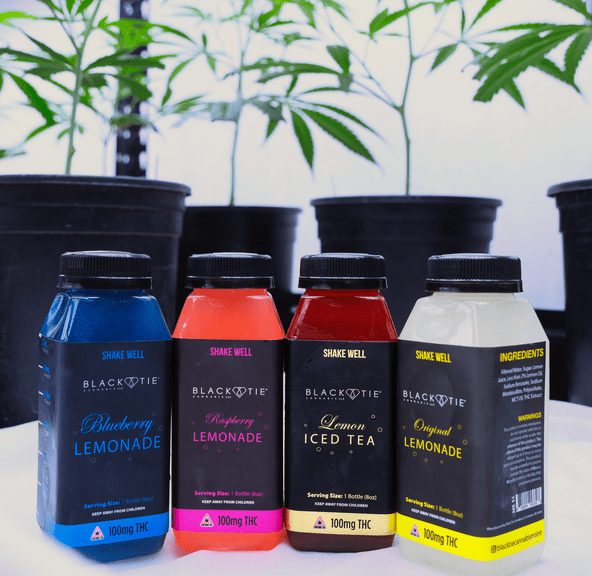 Black Tie- Lemonade- 100mg