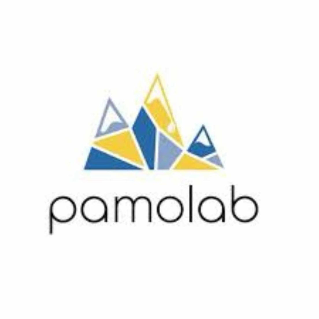 Pamolab White Box JUNGLE JUICE 1g