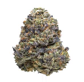 Pink High Roller