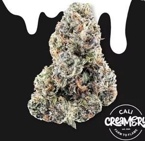Cali Creamery - Shady Apple Lemmings 3.5g