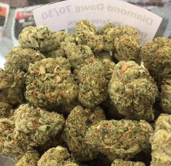 Diamond Dawg